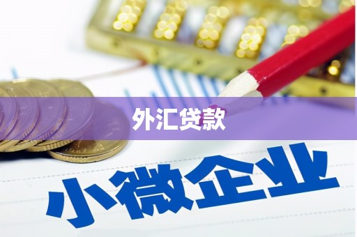 袁州外汇贷款