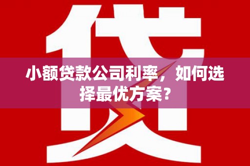 袁州小额贷款公司利率，如何选择最优方案？