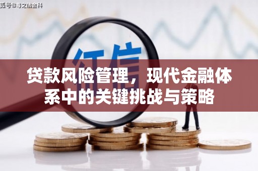 袁州贷款风险管理，现代金融体系中的关键挑战与策略
