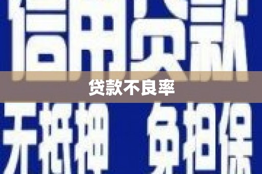 袁州贷款不良率