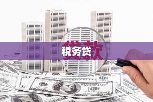 袁州税务贷