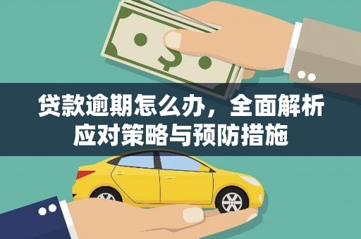 袁州贷款逾期怎么办，全面解析应对策略与预防措施