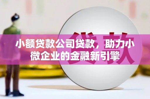 袁州小额贷款公司贷款，助力小微企业的金融新引擎