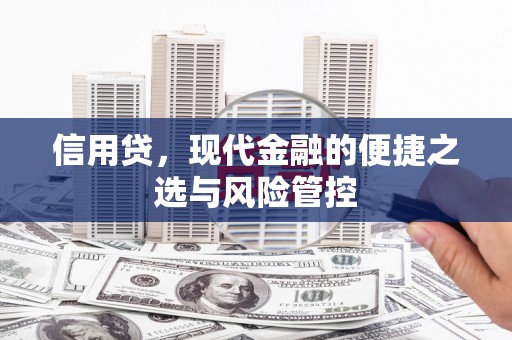 袁州信用贷，现代金融的便捷之选与风险管控