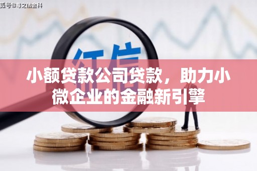 袁州小额贷款公司贷款，助力小微企业的金融新引擎