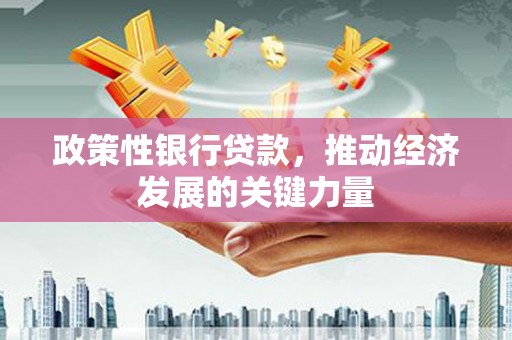 袁州政策性银行贷款，推动经济发展的关键力量