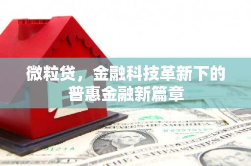 袁州微粒贷，金融科技革新下的普惠金融新篇章