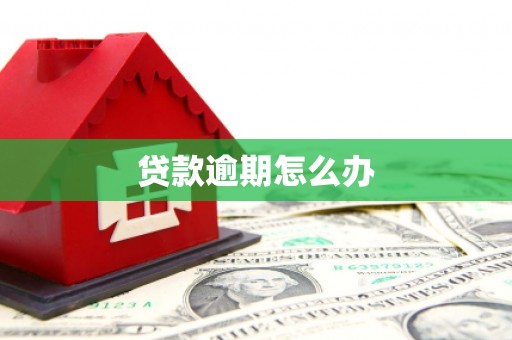 袁州贷款逾期怎么办