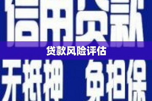 袁州贷款风险评估