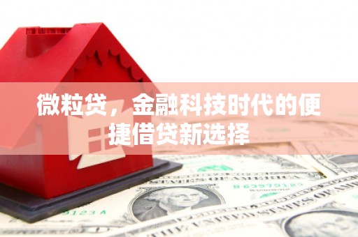袁州微粒贷，金融科技时代的便捷借贷新选择