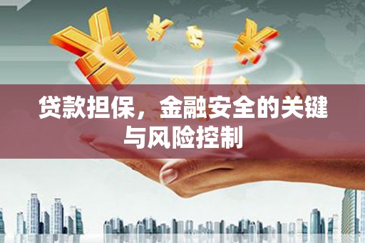 袁州贷款担保，金融安全的关键与风险控制