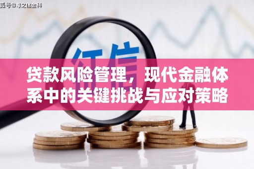 袁州贷款风险管理，现代金融体系中的关键挑战与应对策略