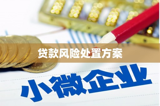 袁州贷款风险处置方案
